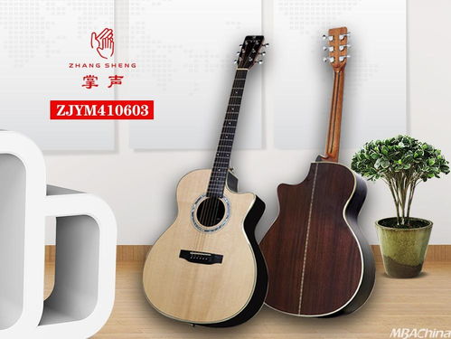 掌聲音樂器 以品牌戰(zhàn)略驅(qū)動(dòng)，布局千萬(wàn)級(jí)市場(chǎng)新藍(lán)圖